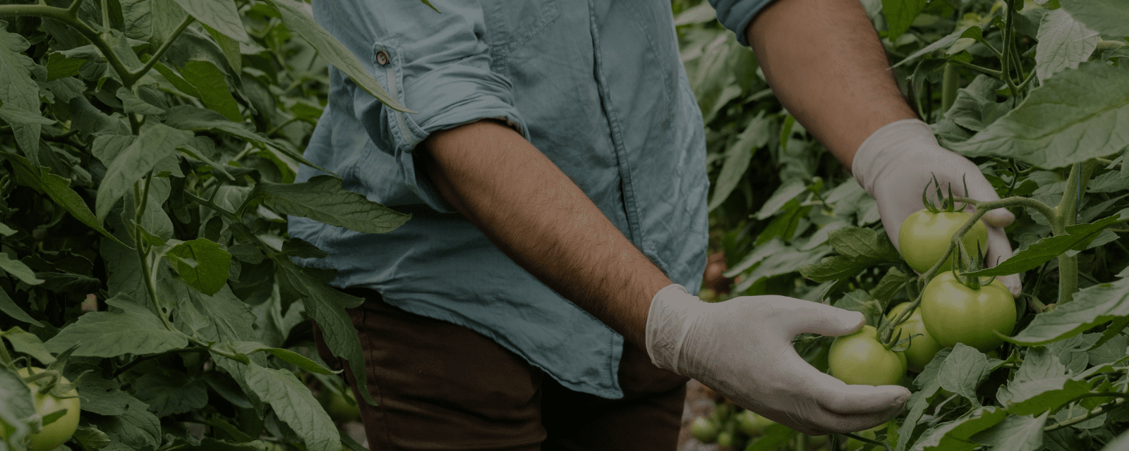 Agricultural Engineering