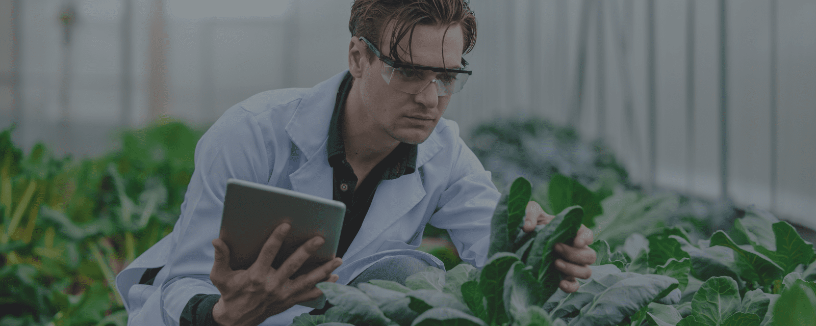 Food Science and Technology
